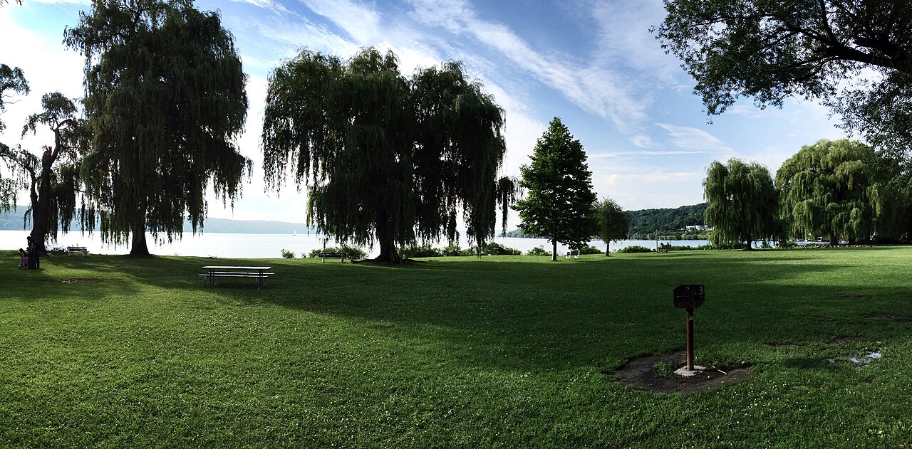 Weeping willows and open lawn at Stewart Park on the southern shore of Cayuga Lake on a summer day.